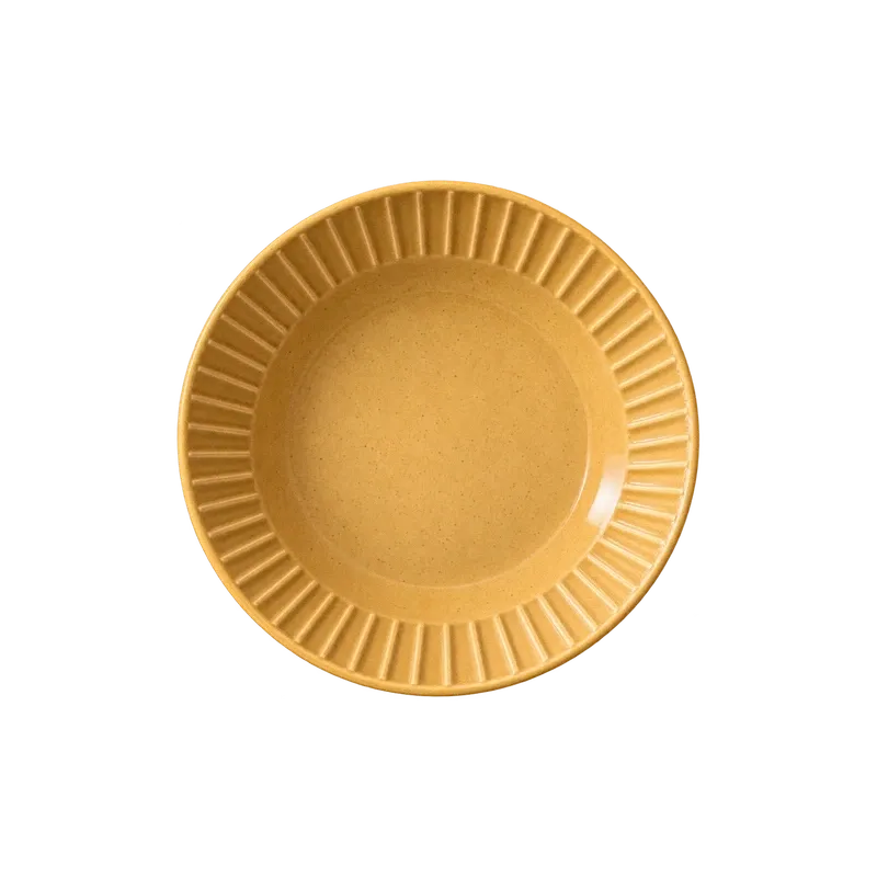 Veyil shallow bowl 22 cm